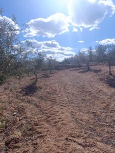 Terreno rural en venta en Noroeste  Murcia  - Cehegín, Cehegin