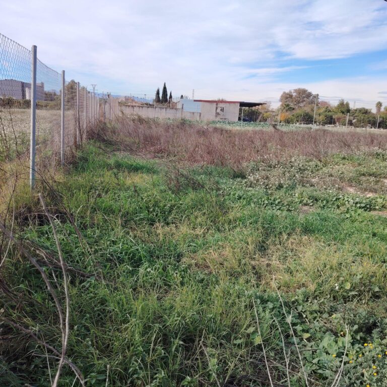 Terreno rural en venta en Puebla de Soto, Puebla de Soto