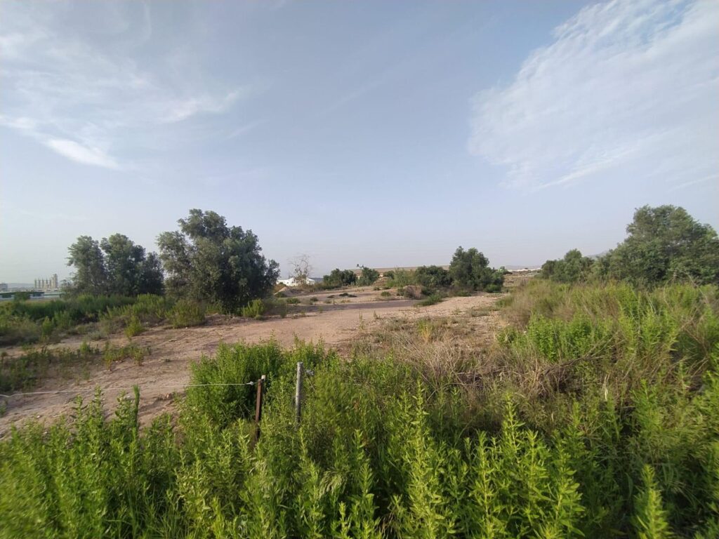 Terreno rural en venta en Sangonera la verde, Sangonera la Verde