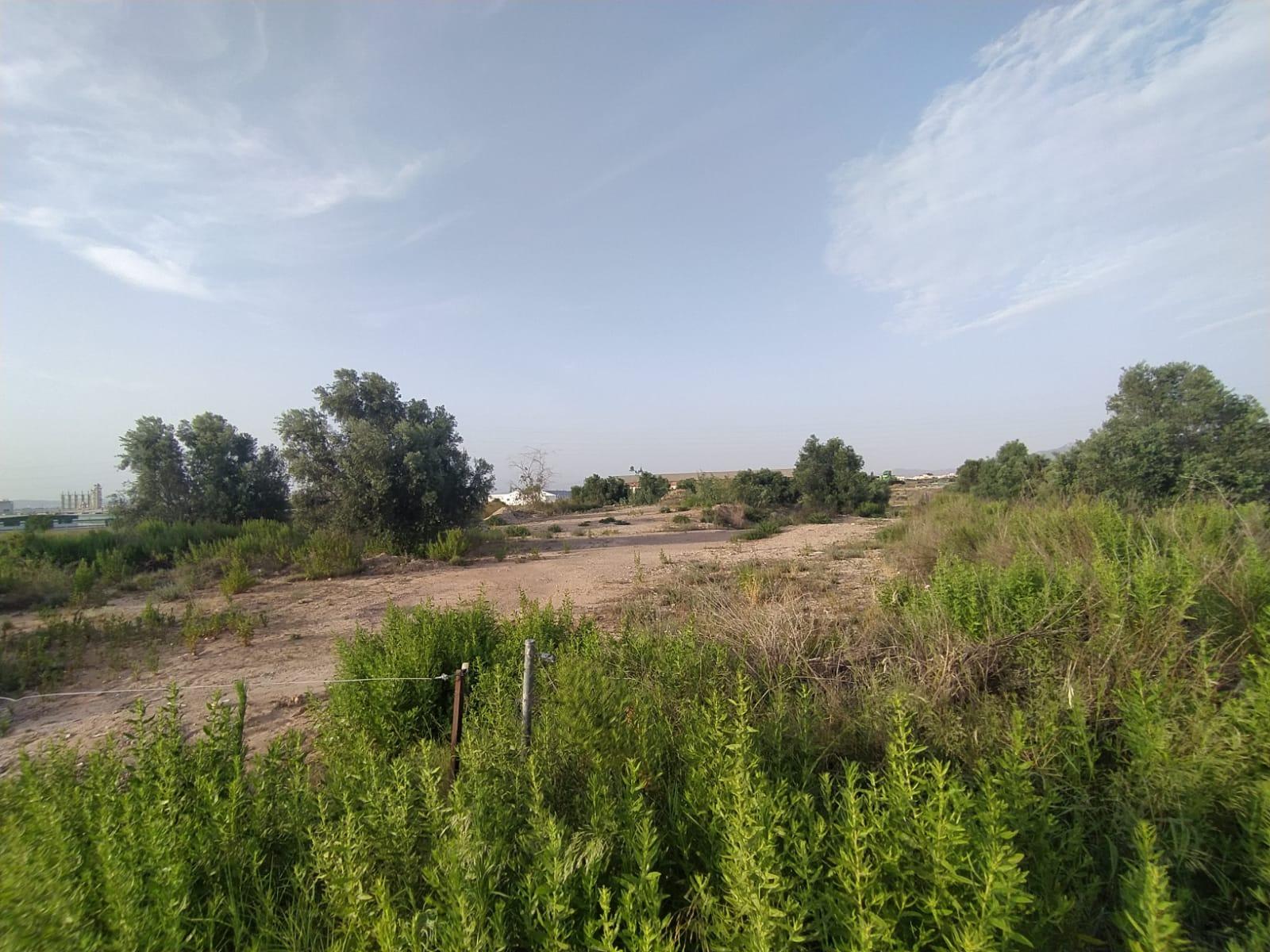 Terreno rural en venta en Sangonera la verde, Sangonera la Verde