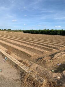 Terreno rural en venta en Santa Cruz, Murcia