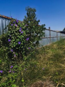 Terreno rural en venta en Torrealta-Ribera de Molina, Molina de Segura