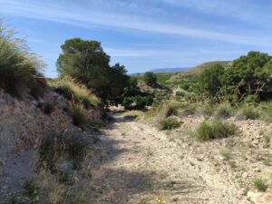 Terreno rural en venta en Yéchar, Mula