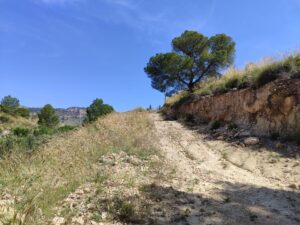 Terreno rural en venta en Yéchar, Mula