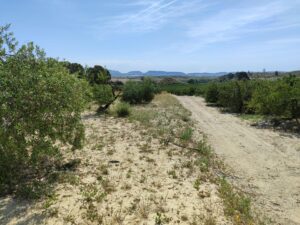 Terreno rural en venta en Yéchar, Mula