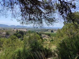 Terreno rural en venta en Yéchar, Mula