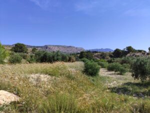 Terreno rural en venta en Yéchar, Mula