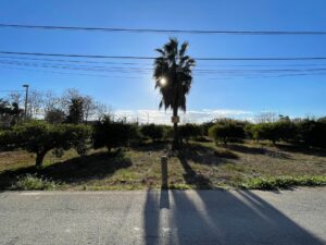 Terreno urbanizable en venta en Nonduermas, Murcia