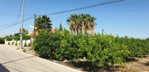 Terreno urbano en venta en Aljucer, Murcia