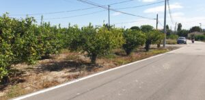 Terreno urbano en venta en Aljucer, Murcia
