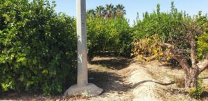 Terreno urbano en venta en Aljucer, Murcia