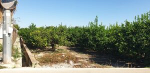 Terreno urbano en venta en Aljucer, Murcia