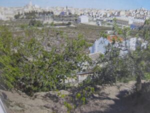 Terreno urbano en venta en Bullas, Bullas