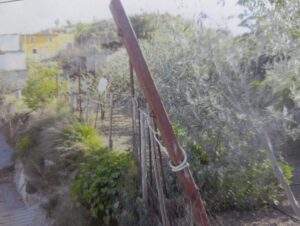 Terreno urbano en venta en Bullas, Bullas