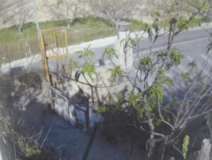 Terreno urbano en venta en Bullas, Bullas