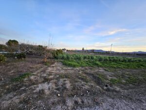 Terreno urbano en venta en El Esparragal, El Esparragal