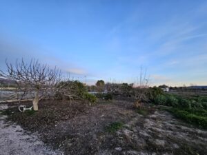 Terreno urbano en venta en El Esparragal, El Esparragal