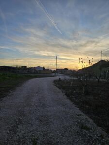 Terreno urbano en venta en El Esparragal, El Esparragal