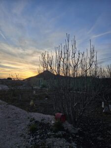 Terreno urbano en venta en El Esparragal, El Esparragal