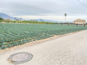 Terreno urbano en venta en El raal, EL RAAL