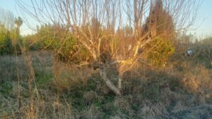 Terreno urbano en venta en Era Alta, Murcia