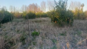 Terreno urbano en venta en Era Alta, Murcia
