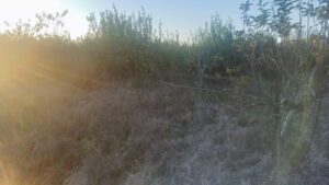 Terreno urbano en venta en Era Alta, Murcia