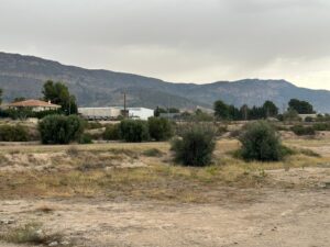 Terreno urbano en venta en ESTACION DE BLANCA  BLANCA, Blanca
