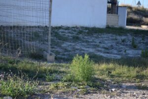 Terreno urbano en venta en FUENTE LIBRILLA, Mula