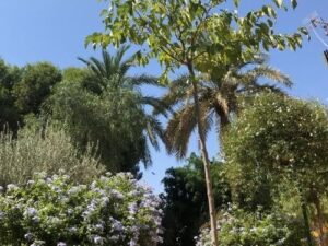 Terreno urbano en venta en Torre Pacheco, Torre - Pacheco
