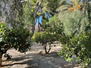 Terreno urbano en venta en Torre Pacheco, Torre - Pacheco