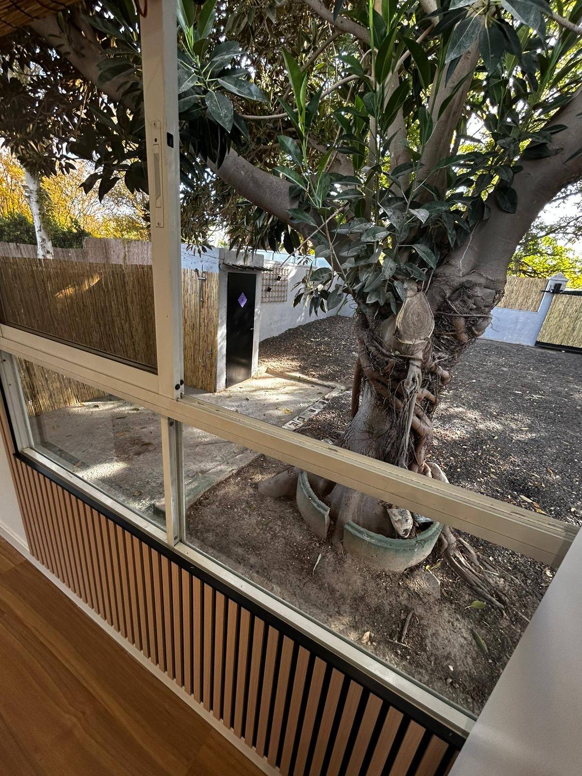 Casa con terreno en alquiler en Alguazas, Alguazas