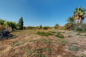 Casa con terreno en venta en San José de la Vega, Murcia