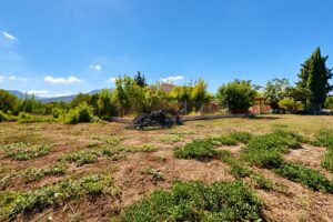 Casa con terreno en venta en San José de la Vega, Murcia