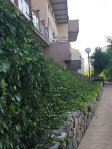 Dúplex en venta en Altorreal-El Chorrico, Molina de Segura