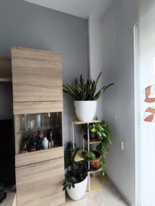 Dúplex en venta en Altorreal-El Chorrico, Molina de Segura