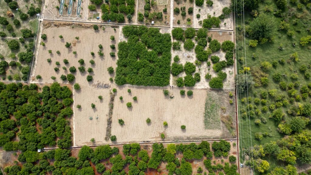 Terreno rural en venta en Torreagüera, Torreaguera