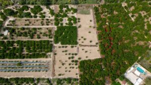 Terreno rural en venta en Torreagüera, Torreaguera