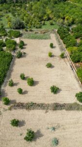 Terreno rural en venta en Torreagüera, Torreaguera