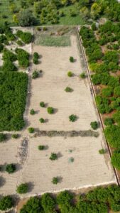 Terreno rural en venta en Torreagüera, Torreaguera