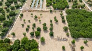 Terreno rural en venta en Torreagüera, Torreaguera