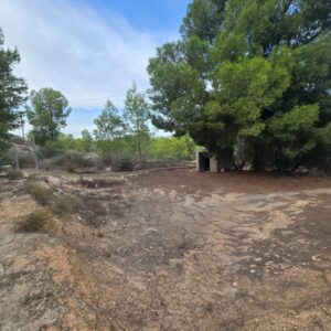 Terreno urbano en venta en Blanca, Blanca
