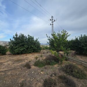 Terreno urbano en venta en Blanca, Blanca