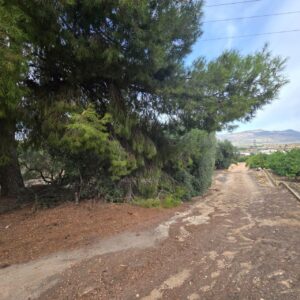 Terreno urbano en venta en Blanca, Blanca