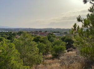 Terreno urbano en venta en El Esparragal, El Esparragal